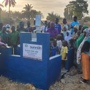 Benin Hand Water Well