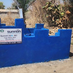 Togo Hand Water Well