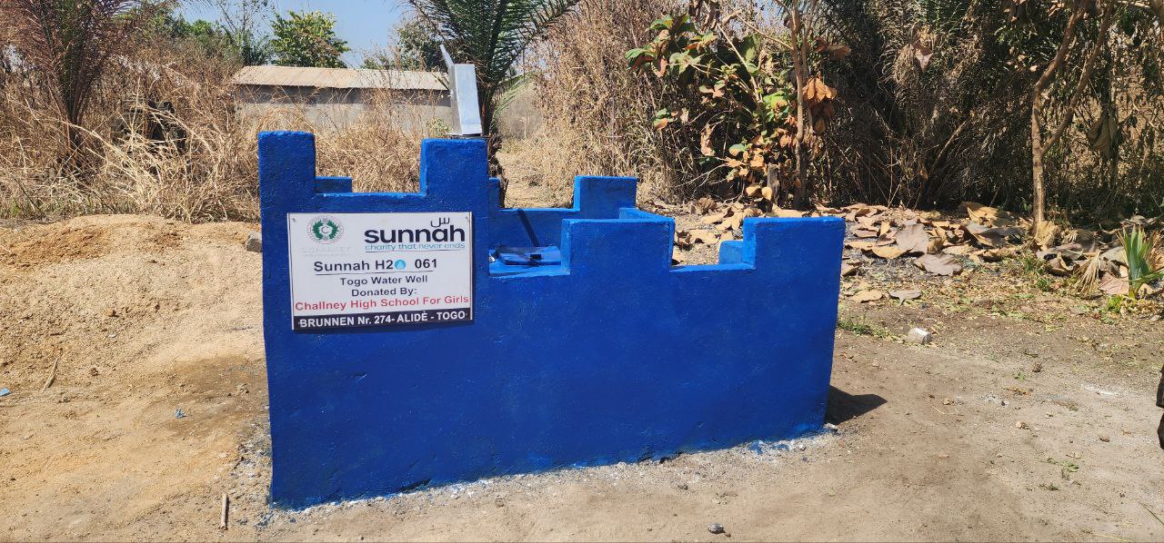 Togo Hand Water Well