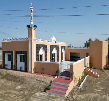 Pakistan Masjid Large