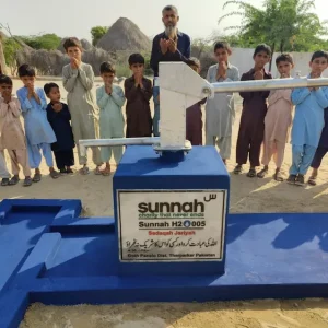 Pakistan Community Water Pump